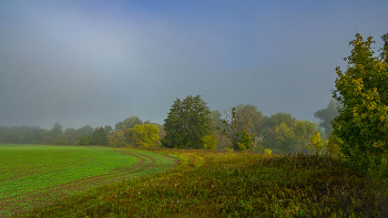 In dem Feld. / ***