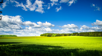 Windows / ***