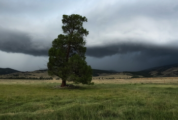 Vor dem Sturm / ***