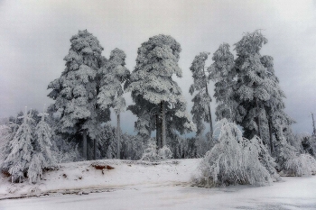 Winter-Spitze / ***