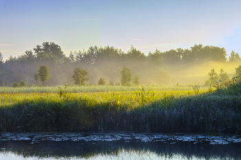 Nebel und Sonne / ***