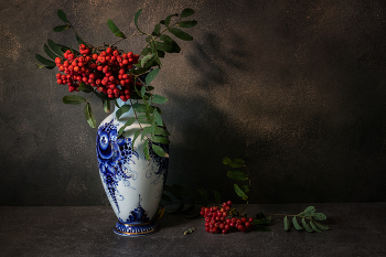 Still Life / ***