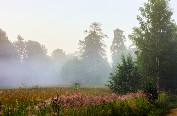 Nebliger Morgen / ***