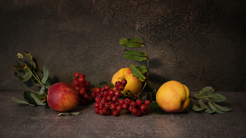 Äpfel / ***