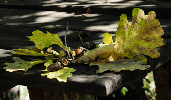Das Herbst / ***