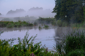 Morgennebel. / ***