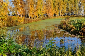 November / ***