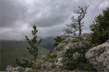 Über den Wolken / ***