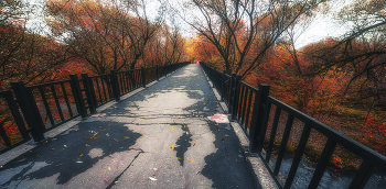 Brücke / ***