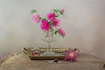 Herbstblumen / ***