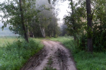Morgen in den Wald / ***