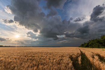 Abend im Juli / ***