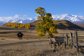 Altai / ***