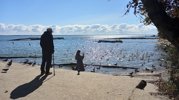 Der alte Mann und das Meer / ***