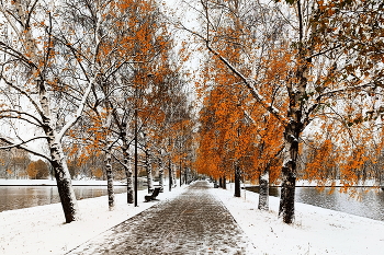 In den goldenen Herbst / ***