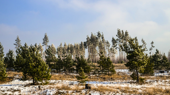 Wintertag / ***