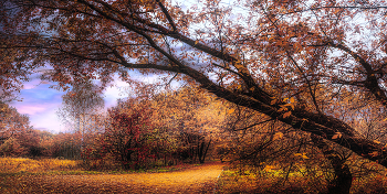 Herbst im Park. / ***