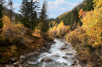 Goldener Herbst / ***