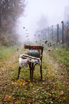 Herbst / ***