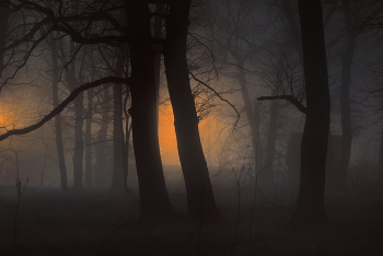 Nacht Nebel / ***