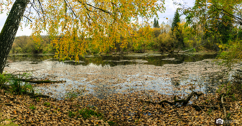 Goldener Herbst / ***