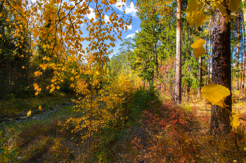 Herbst / ***