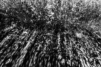 Leben rund um / ***
