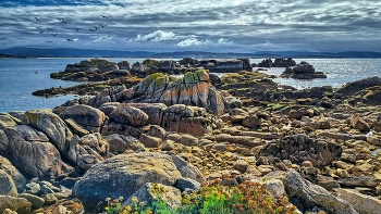 San Vicente do Mar - O Grove - el sendeiro de Pedras Negras - Pontevedra / San Vicente do Mar - O Grove - el sendeiro de Pedras Negras - Pontevedra