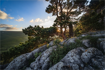 Landschaft / ***