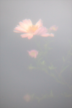 Leben rund um / ***