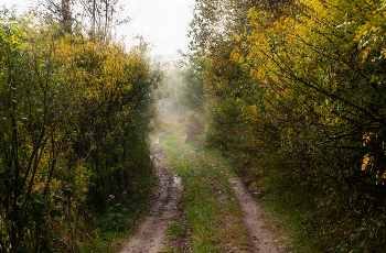 Herbststraße / ***