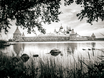 Solovkm / ***