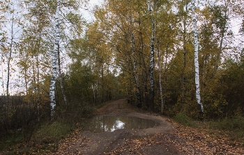 Modest Herbst / ***