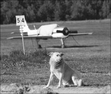 Und irgendwo im Kosmos fliegen ... / ***