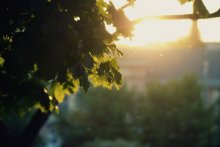 Vor Sonnenuntergang ... / ***
