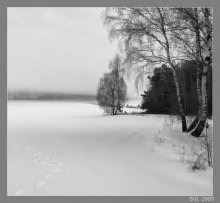 Frost, Nebel und Sonne / ***