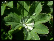 water / .........