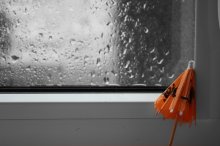 the season of the rain / ***