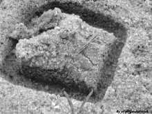 Sand / ***