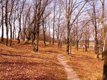 Herbst im April / ***