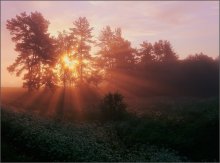 Sommer orange, orange Nebel / ***