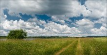 Panorama der Straße in einer Großstadt ... / ***