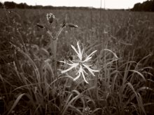 Heimat / ()()()()())))))))