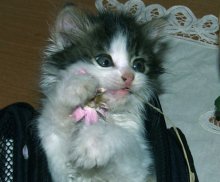 Let's get vertraut / *****