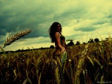 im Bereich ... / ***