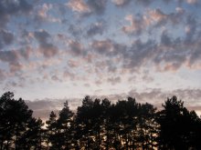 Der Himmel über dem Wald / ***