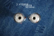 Sprichwörter und Redensarten. / ***