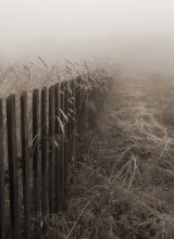 Disappearing im Nebel / .......
