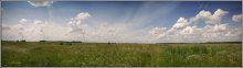 Sommerwiese / ***