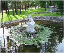 Graf dem Teich, wo die Lilien blühen. / ***
